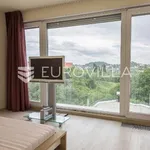 Rent 4 bedroom apartment of 353 m² in Zagreb