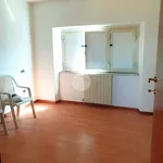 Rent 4 bedroom apartment of 85 m² in Frosinone