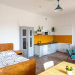 Rent 1 bedroom apartment in Rychnov nad Kněžnou