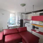 Rent 2 bedroom apartment of 50 m² in Novara