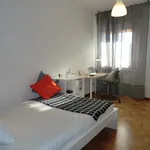 Rent 4 bedroom apartment in Padua