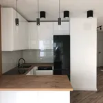 Rent 4 bedroom apartment of 88 m² in Krakow