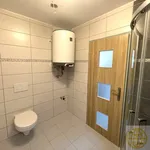 Rent 1 bedroom apartment of 40 m² in Tábor