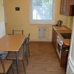 Rent 1 bedroom apartment of 100 m² in Brno