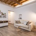 Rent 1 bedroom apartment in Florence