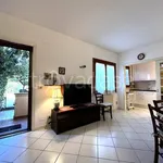 Rent 3 bedroom apartment of 70 m² in Rosignano Marittimo