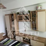 Rent 2 bedroom apartment of 60 m² in Timișoara