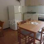 Rent 1 bedroom apartment of 28 m² in Novara