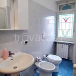 Rent 3 bedroom apartment of 80 m² in Torino