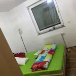 Rent a room in frankfurt