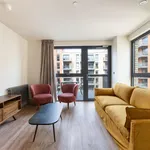 Rent 1 bedroom apartment in London