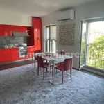 Rent 2 bedroom apartment of 85 m² in Milan