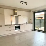 Rent 3 bedroom house of 140 m² in Bree