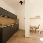 Rent 1 bedroom apartment in Brno