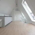 Huur 2 slaapkamer appartement van 35 m² in Noordereiland