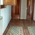 Rent 3 bedroom apartment of 140 m² in Palermo