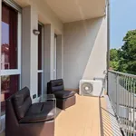 Rent 2 bedroom apartment in Milan