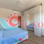 Rent 2 bedroom apartment of 70 m² in pisa