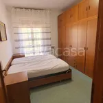 Rent 3 bedroom apartment of 75 m² in Bologna