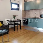 Rent 1 bedroom apartment in City of Zagreb