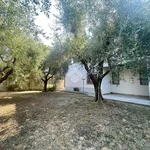 Rent 5 bedroom house of 176 m² in Poggio A Caiano