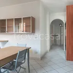 Rent 3 bedroom apartment of 70 m² in Ceriale