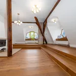 Rent 4 bedroom apartment of 132 m² in Prague