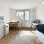 Rent 1 bedroom apartment of 20 m² in Brno