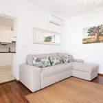 Rent 1 bedroom house in Évora