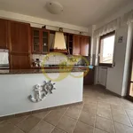 Rent 5 bedroom apartment of 134 m² in Potenza Picena