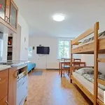 Rent 1 bedroom apartment of 29 m² in Kořenov