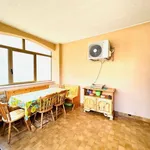 Rent 2 bedroom apartment of 60 m² in Roma