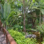 Rent 1 bedroom apartment in Port Douglas