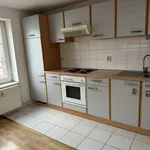 Appartement de 30 m² avec 1 chambre(s) en location à Strasbourg