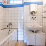 Rent 4 bedroom apartment of 90 m² in Břeclav