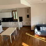 Rent 2 bedroom house of 80 m² in Padova