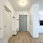 Rent 1 bedroom apartment in berlin