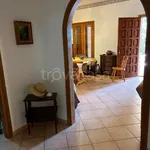 Rent 7 bedroom house of 220 m² in Altavilla Milicia