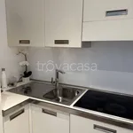 Rent 1 bedroom apartment of 40 m² in Milano