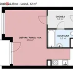 Rent 1 bedroom apartment of 42 m² in Brno