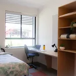 Rent 12 bedroom student apartment in Flora Hill