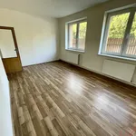 Pronajměte si 2 ložnic/e byt o rozloze 56 m² v Budišovice