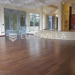 Rent 7 bedroom house of 1000 m² in Zagreb