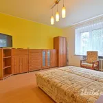 Rent 1 bedroom apartment of 38 m² in Brno