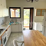 Rent 4 bedroom house of 250 m² in M unicipal Unit of Makrakomi