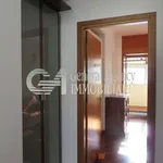 Rent 2 bedroom apartment of 130 m² in Rome