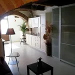 Rent 1 bedroom apartment of 40 m² in Peccioli