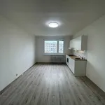 Rent 3 bedroom apartment in Chomutov