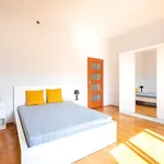 Rent 3 bedroom apartment of 24 m² in Łódź