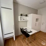 Rent 1 bedroom apartment of 27 m² in Brno